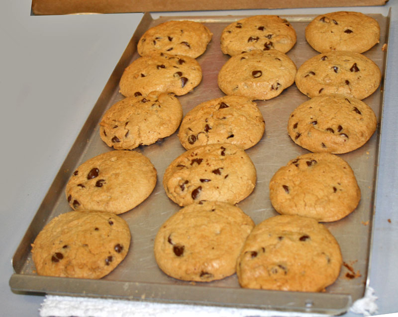 Illustration for article titled CES Cookie Lady Says Press People Are an Unusually Polite Bunch